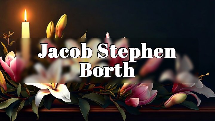Jacob Stephen Borth, Orchard Park, New York