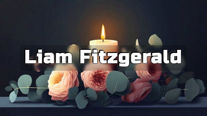 Liam Fitzgerald, Massachusetts